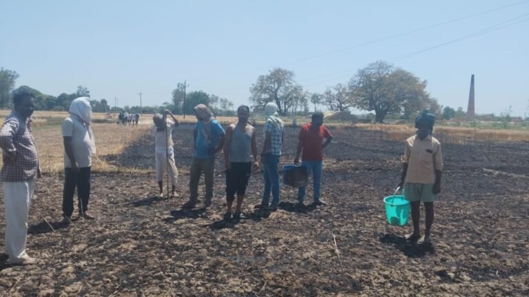 Ballia : पंदह गांव में बिजली की चिंगारी से लगी आग, आधा दर्जन किसानों के गेहूं की फसल राख